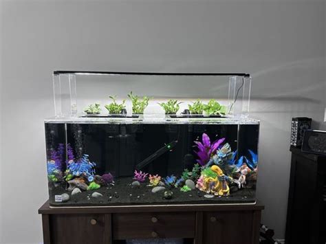 fish tanks direct venice fl