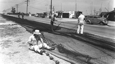 Fish Terminal History