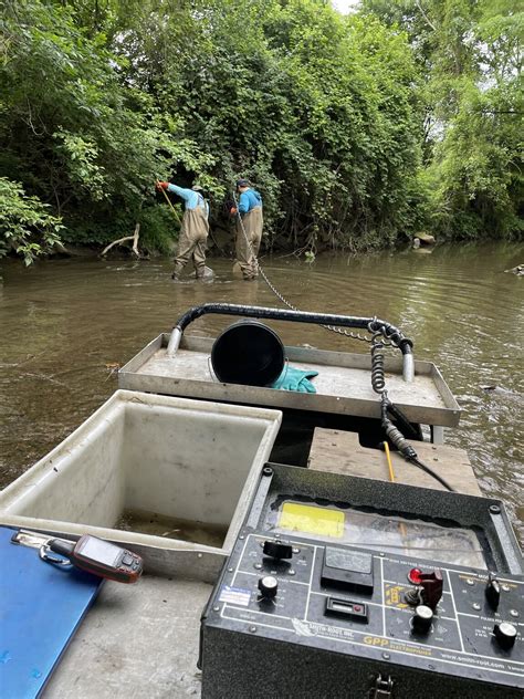 Fish Training Methods