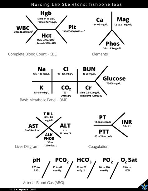 fishbone diagram template labs