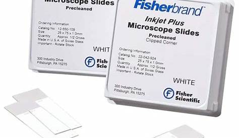 Fisher Scientific Microscope Slide 1x3" White 144/Pk