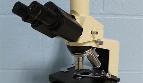 Fisher Scientific Micromaster II Microscope
