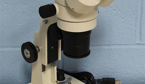 Fisher Scientific Stereomaster Microscope Manual Micromaster Cat. No.12563