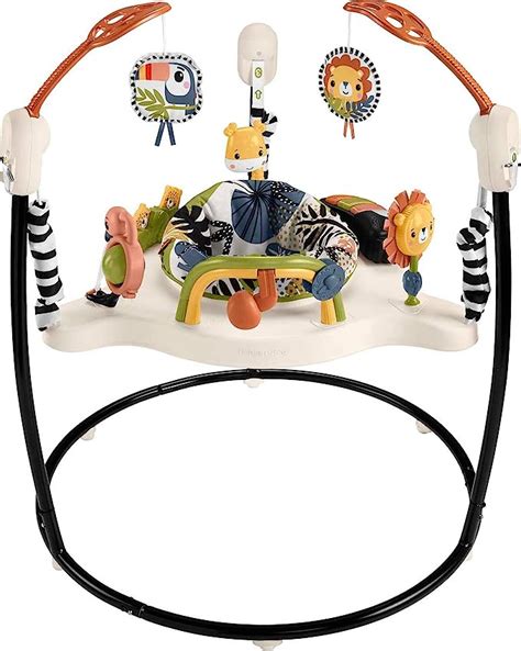 fisher-price baby bouncer palm paradise