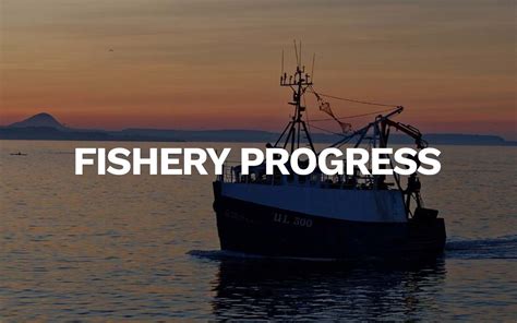 Fishery In Progress