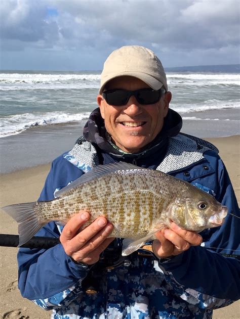 Recent Catches in Monterey Bay