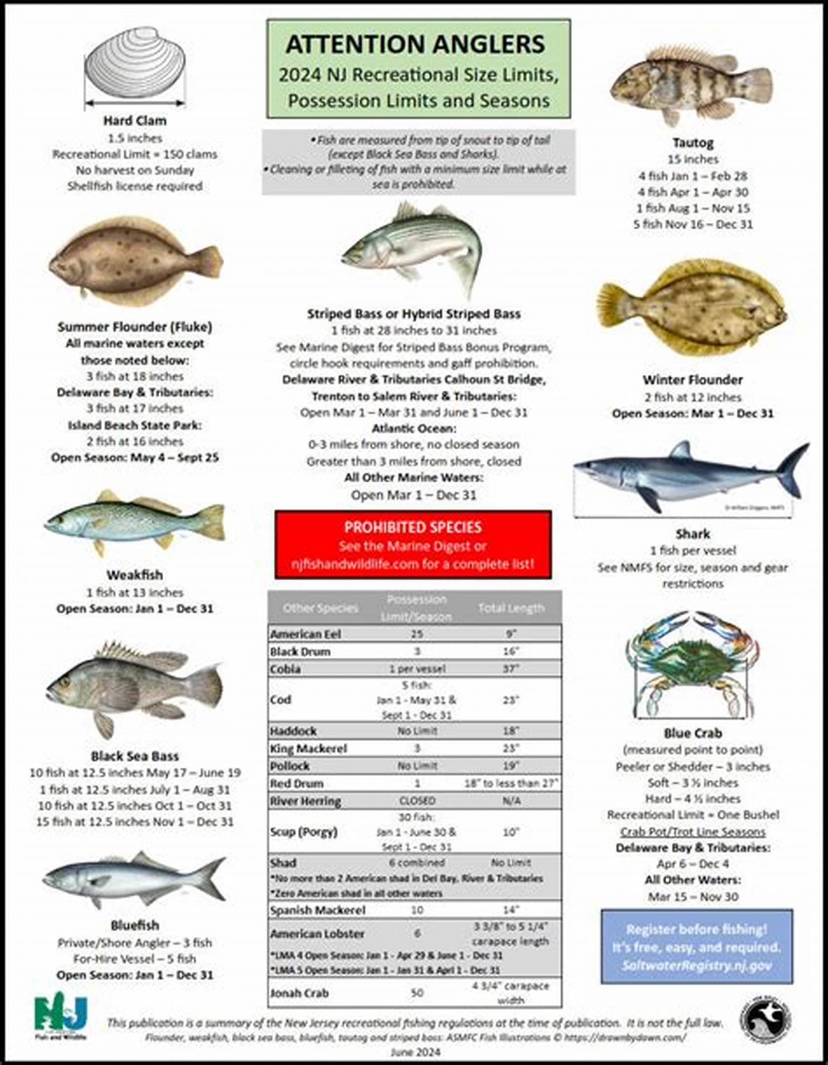 fishing regulations in western new york