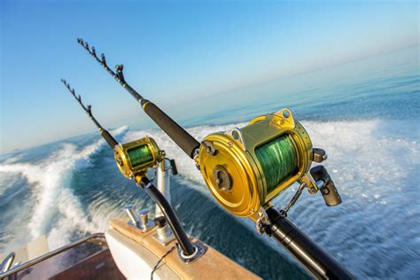 Fishing rods and reels for deep sea fishing