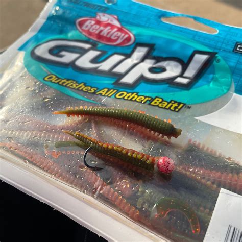 fishing baits for perch