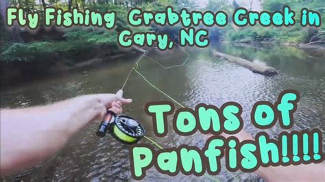 fishing cary nc