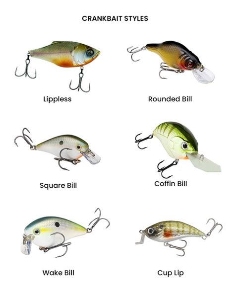 fishing crankbaits