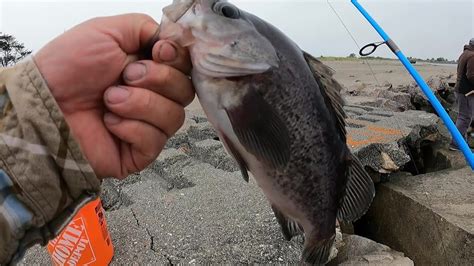 Fishing Eureka Jetty