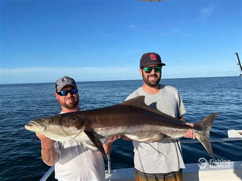 Fishing For Cobia