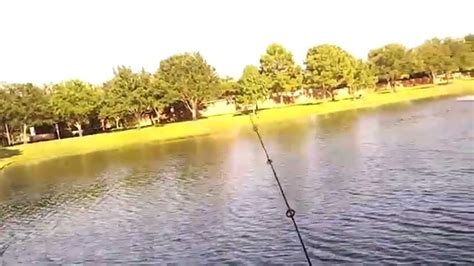 Bass Fishing in Katy TX YouTube