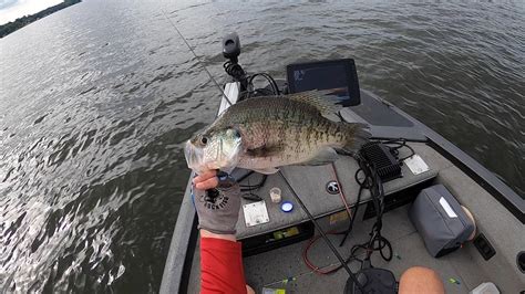 fishing lake palestine texas