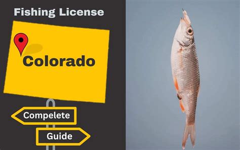 Types of Fishing Licenses in Colorado