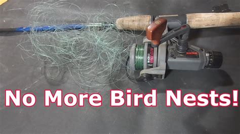 Fishing Line Keeps Bird Nesting