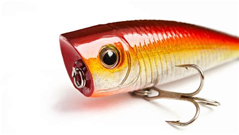 Fishing Lures In