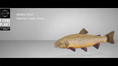 fishing planet saint croix brown trout