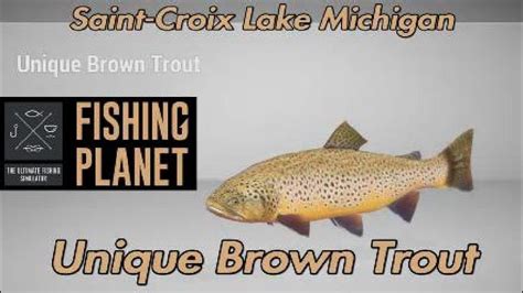 fishing planet st croix brown trout
