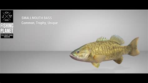 fishing planet st croix smallmouth bass