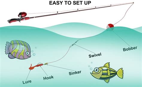 fishing pole setup beginners