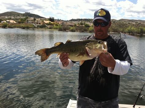Fishing Regulations in Canyon Lake