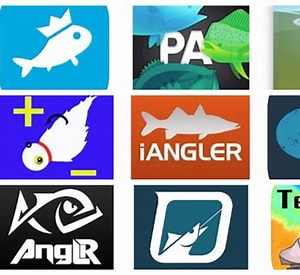 Fishing Report Apps