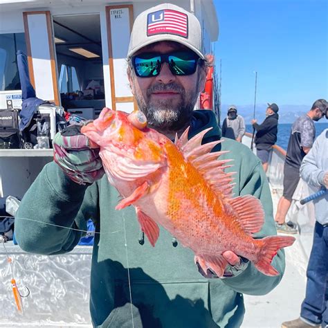fishing rockfish