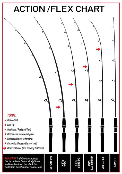 fishing rod action and power chart
