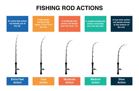 fishing rod action and power explained