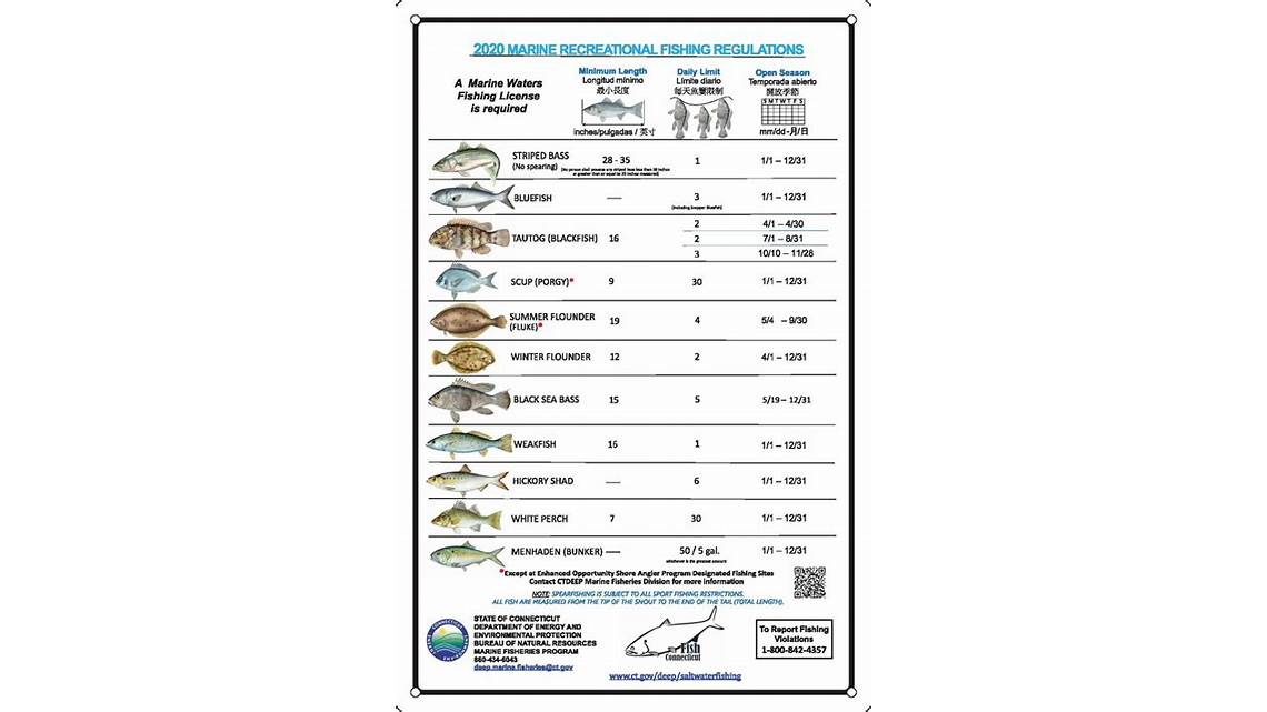 fishing seasons and limits in connecticut