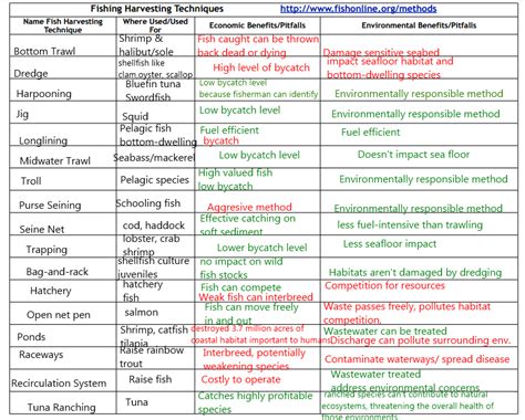 Fishing Techniques Apes