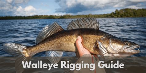 Fishing Walleye Rigs