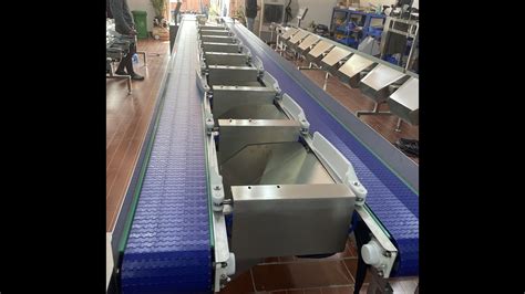 Fish Weigher Features