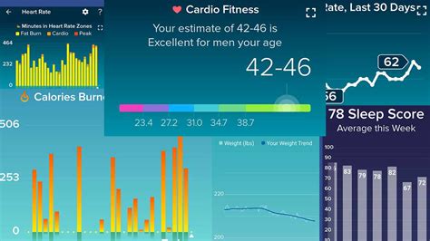 Fitbit Activity Level