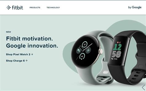 Fitbit Is An Example Of A