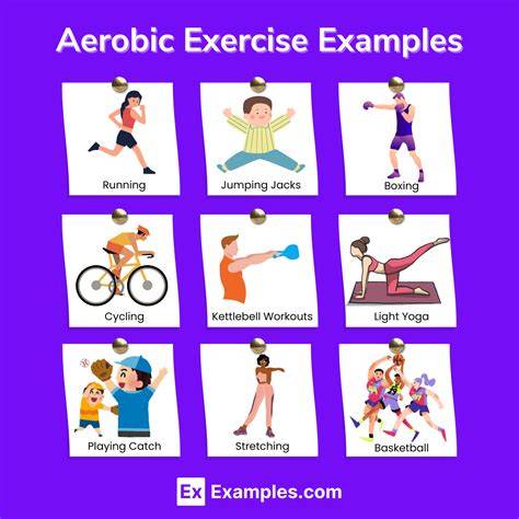 fitness workout examples examples trending pinterest