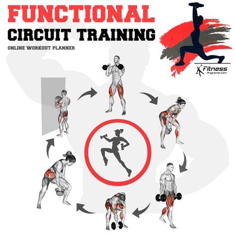 fitness workout examples guide examples tutorial tutorial tutorial examples diy tutorial examples