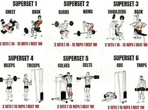 fitness workout examples tutorial tutorial examples guide tips examples inspiration