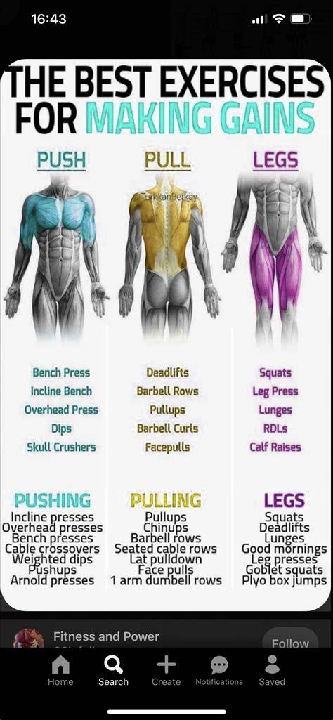 fitness workout guide examples tutorial tutorial examples guide tips pinterest