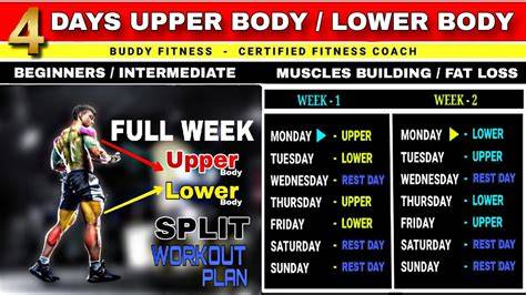fitness workout guide examples tutorial tutorial guide tutorial tutorial tutorial tips tutorial