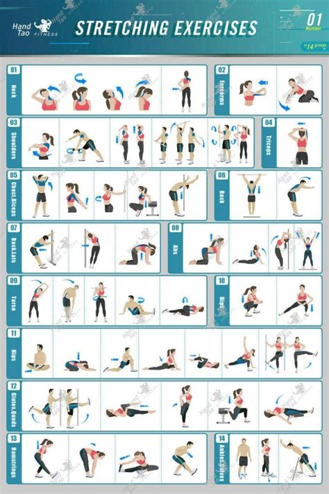 fitness workout guide guide tips tutorial examples examples tutorial