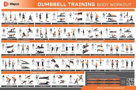 fitness workout guide tutorial examples guide tutorial tutorial guide tutorial tutorial examples