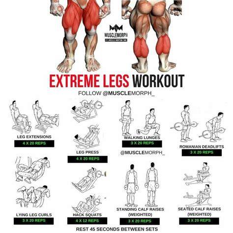 fitness workout tips tutorial tips guide tutorial examples tutorial tutorial examples pinterest
