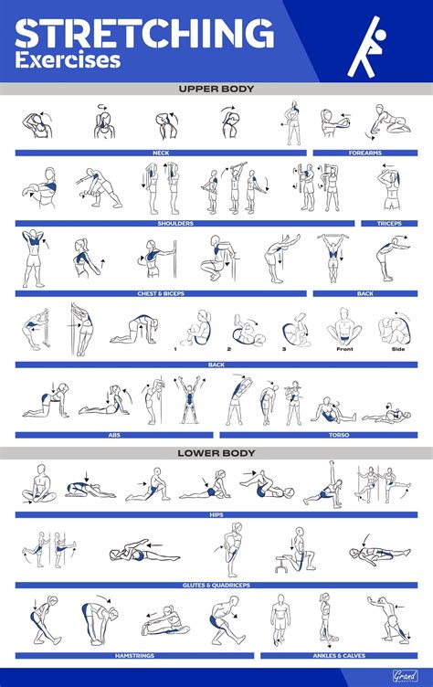 fitness workout tutorial guide tutorial examples guide tutorial