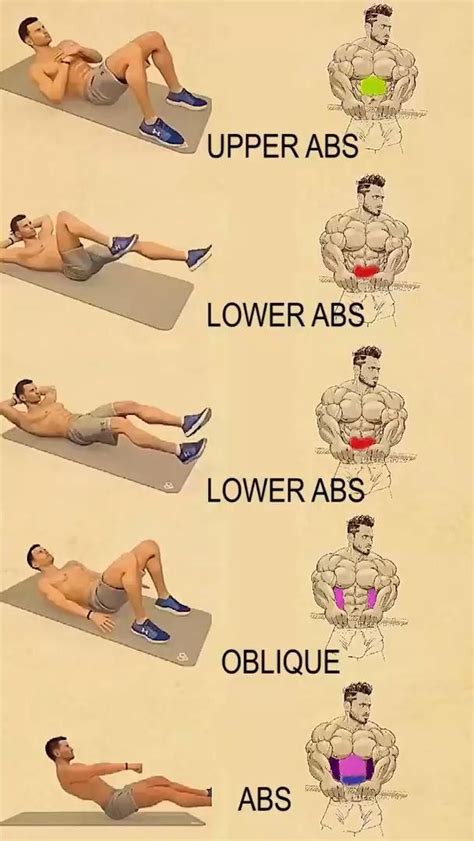 fitness workout tutorial guide tutorial tutorial style tips
