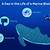 five types of marine biologist