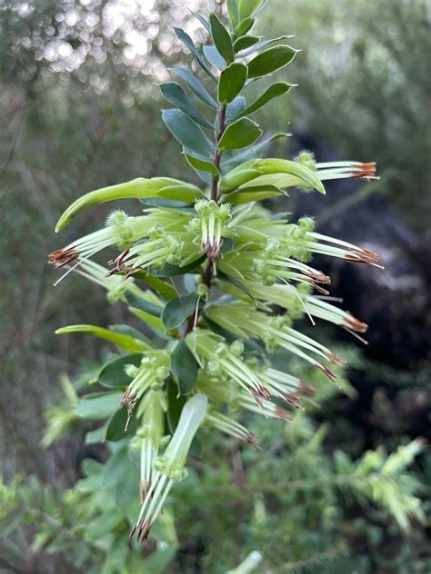 Five Corners Produce