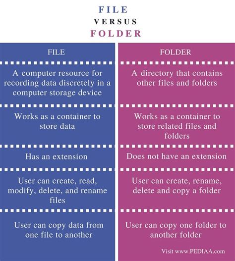 Five Difference Between File And Folder